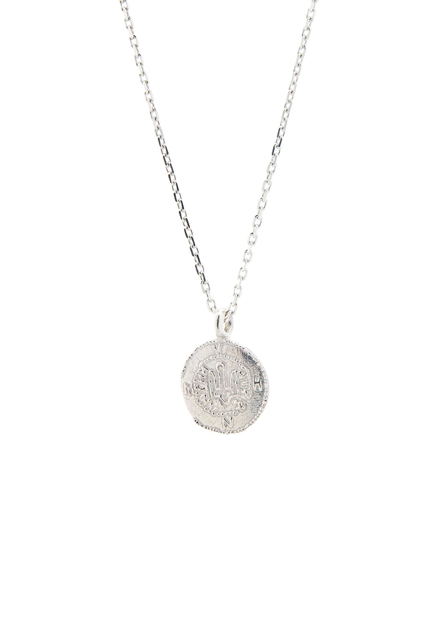 Pendant Zvir in Silver