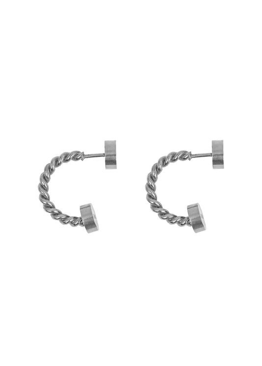 Silver Hryvna Earrings