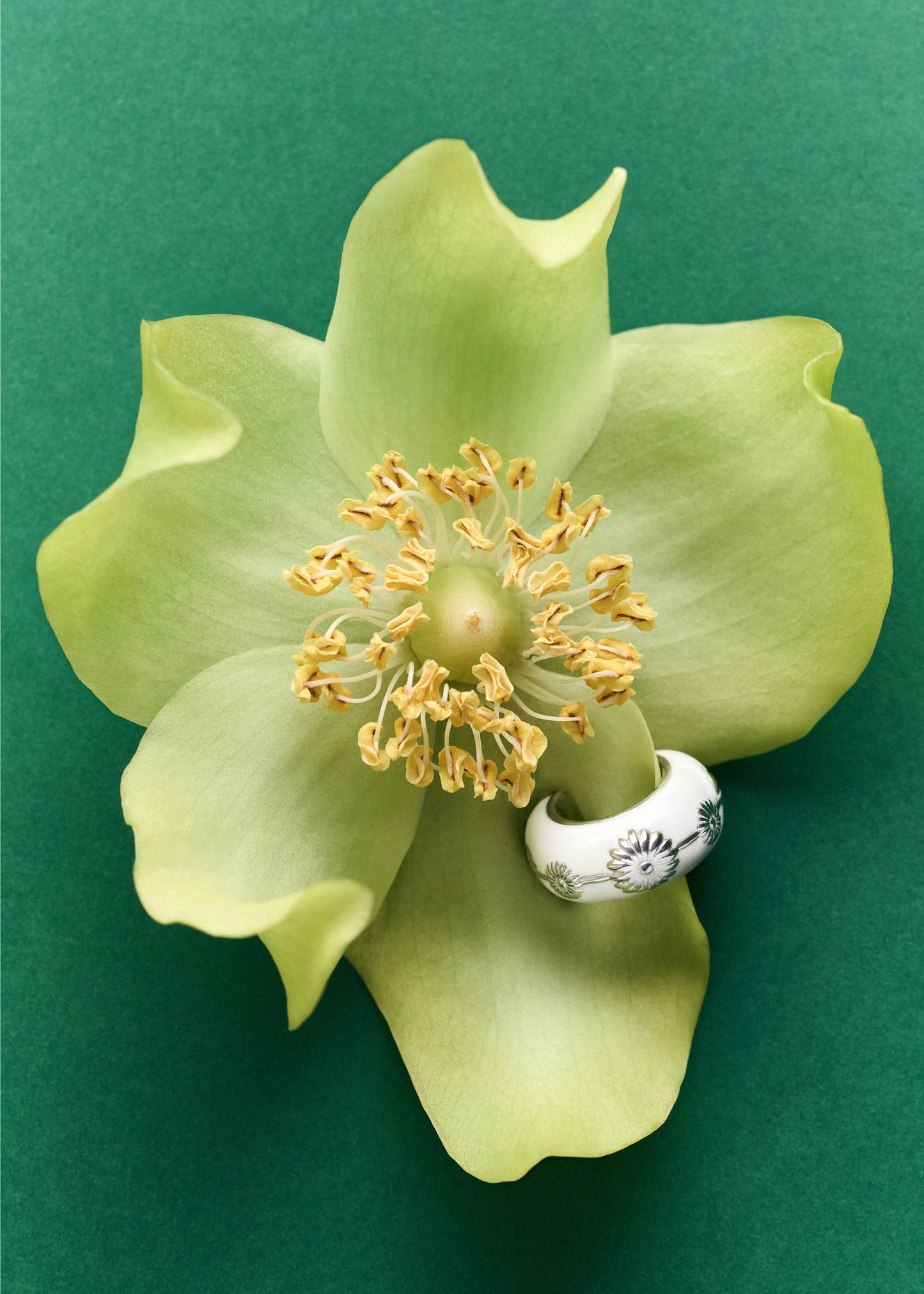 Malva Big Ear Cuff