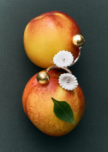 Malva Curved Earrings