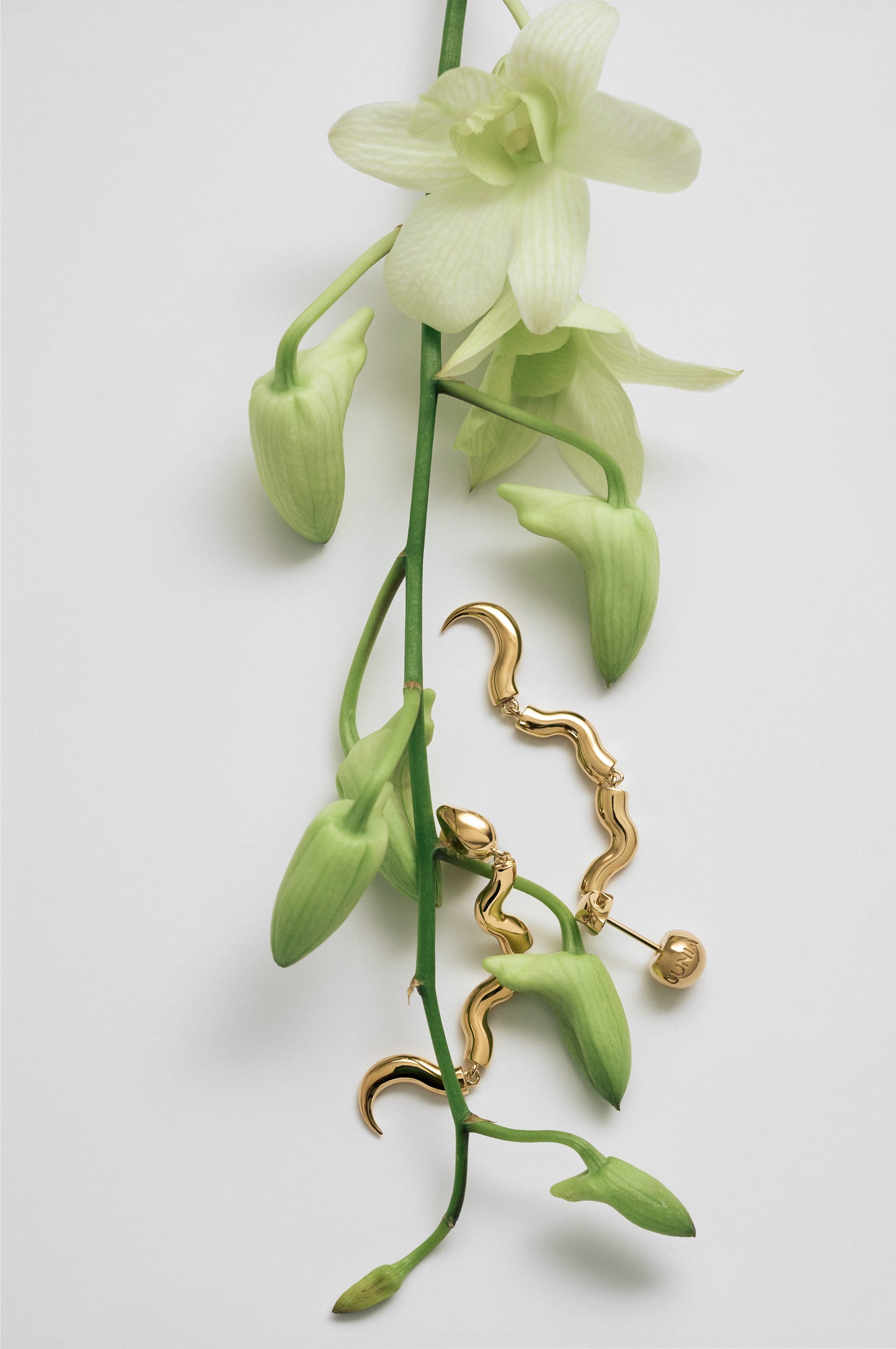 Serpent Drop Earrings