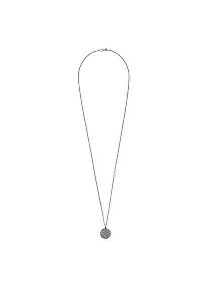 Pendant Zvir in Silver