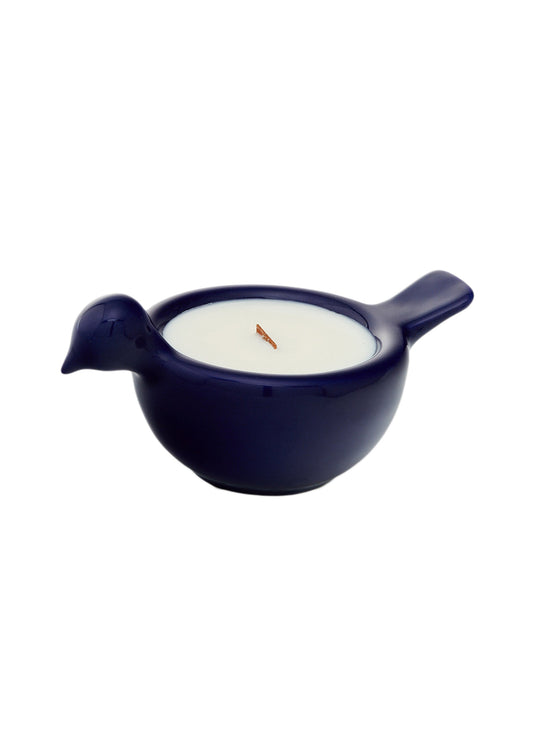 Bird Candle Blue Night