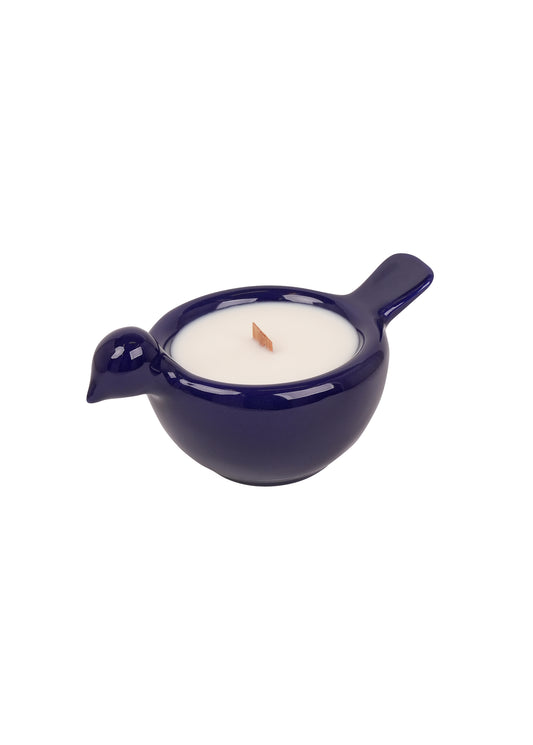 Bird Candle Blue Night